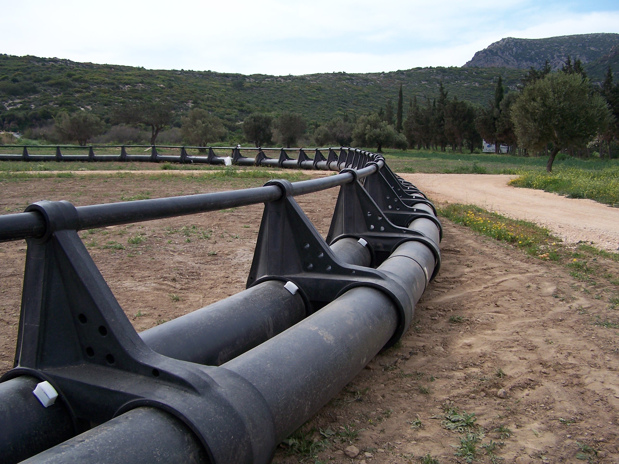 Fish Farming