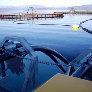 HDPE Fish Farming Fittings