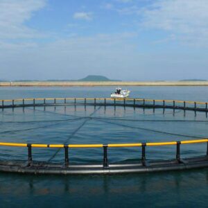 HDPE Fish Cage Floating Pipe
