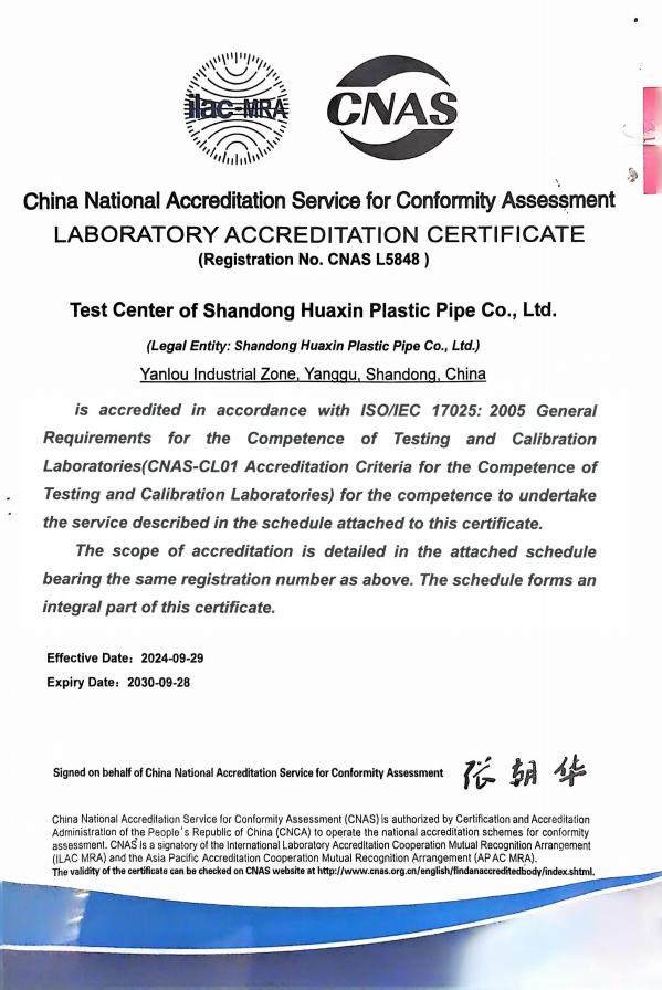 WorldLink certificate 2